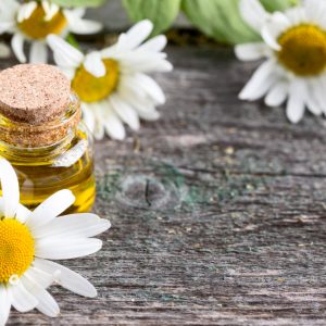 folhas de camomila e extrato de camomila