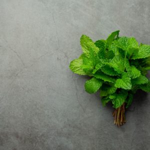 oleo-essencial-de-hortela-pimenta-em-garrafa-com-hortela-pimenta-verde-fresca